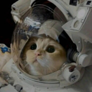 痛苦虽小折磨永存