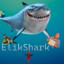 ElikShark228