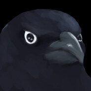 CrowWithAKeyboard avatar