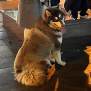 与小周共度余生