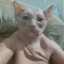 Виталик
