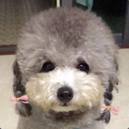 出棋不意必自毙