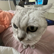 孩子们别爆了 我是区打不过