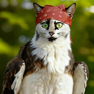 满足愿望的自由猫猫头