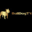 BullDogTV1808