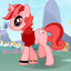 Whimsy Star The Silly