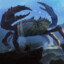VoidSlapper77