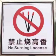 她的回城真好看