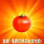 闻歌咕咕