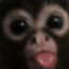 Monke