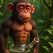 ShimpanziniBongini420 skins.army