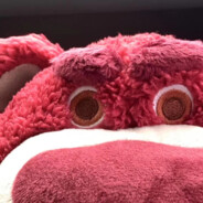 聪明的墨菲特、、