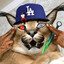 BIG BO$$ шJIёпа's avatar