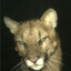 mishotER's avatar