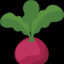 Radish Merchant