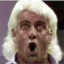 Ric Flair