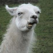 Сильвер (нет)