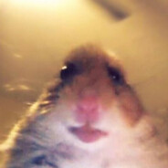 МaJLeНbkiu_MaFi0Ze