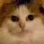 Кофеварка