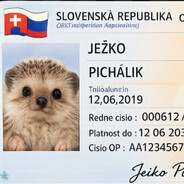 ♥Ježo♥