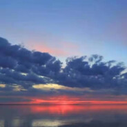 目光所及皆是凋零