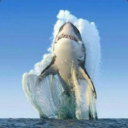 Rumak47 avatar
