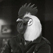 Vali95Cs - steam id 76561199440004632