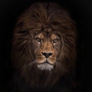 别问，战略性白给。