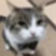 cet's avatar