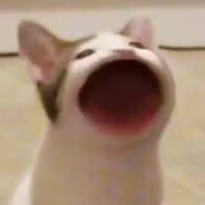 babo
