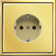 Золотая розетка