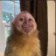 Trippel Trubbel
