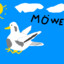 Möwe