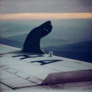 мДVëЃЇК•̪̀●́