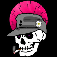 [STC] Anis