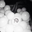 ║▌║▌║█ x̶o̶