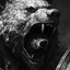 Bearkinq88