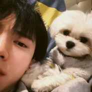 被我打死都很菜