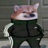 TheDogeDude