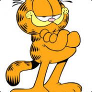 señor gato
