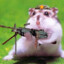 Kampfhamster