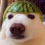 Dogerama