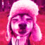 JOKIKOKI