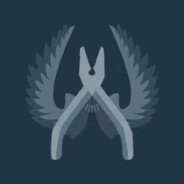 电脑玩家鸡美丽