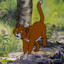 Lost_Cat