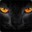 Filren
