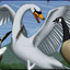 SWANSEN