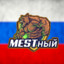 MESTный