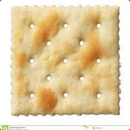 Saltine Nonsense