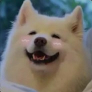 你的技校配不上她的大学